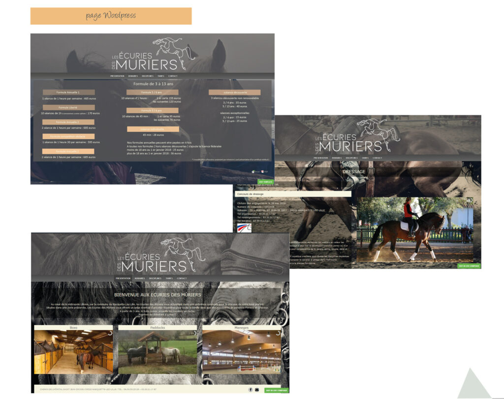 Web newletter